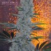Bear Mace - Image 2